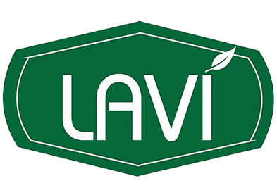 LAVİ GES PROJESİ